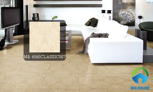 gạch đồng tâm 60x60 classic 3
