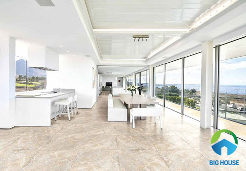 mẫu gạch lát nền đồng tâm 60x60 đẹp 4