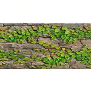 Gạch ốp lát Đồng Tâm 30x60 3060GREENERY004